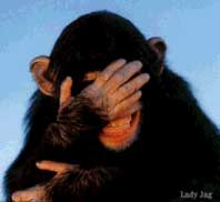 facepalmchimp