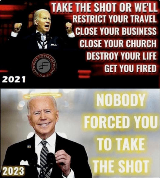 Elections 2024, summed up in memes