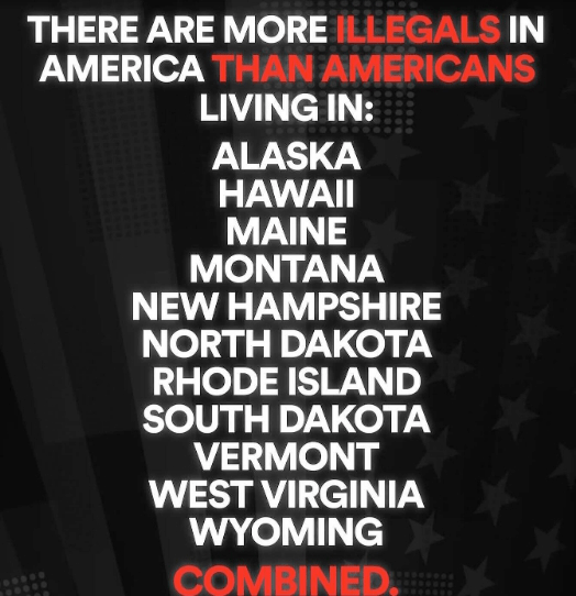 Election meme's that tell the story of cheating in 2020, corruption and Trump is a candidate who wants to save America