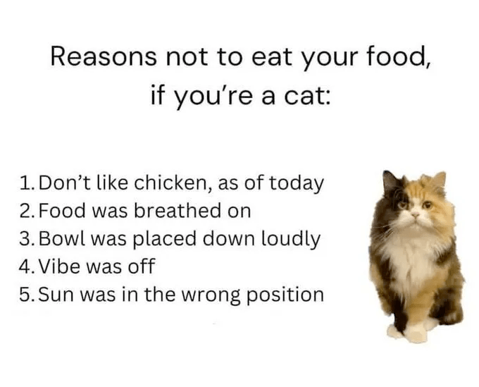 This image has an empty alt attribute; its file name is image-204.png