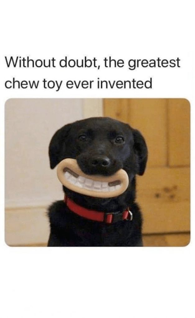 This image has an empty alt attribute; its file name is image-301.png