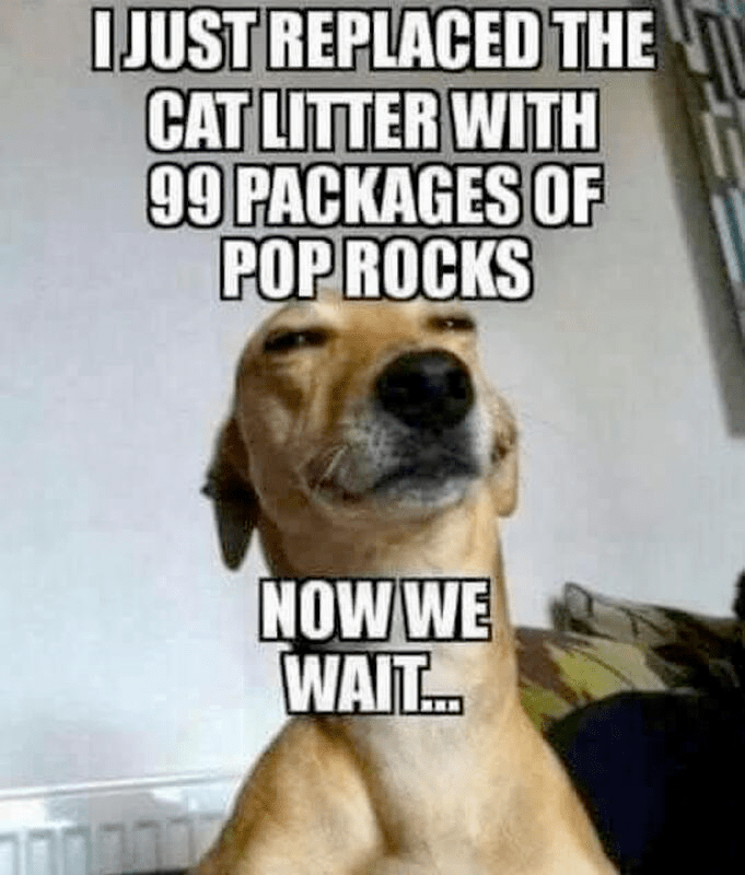 This image has an empty alt attribute; its file name is image-306.png