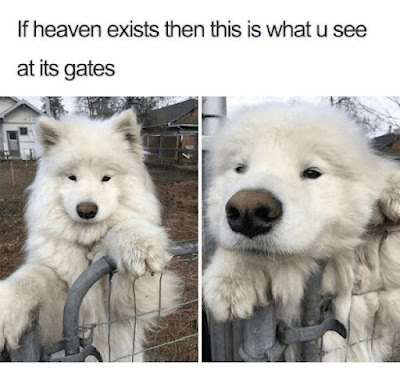 This image has an empty alt attribute; its file name is image-11.png